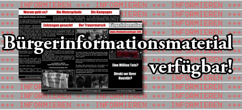 Buergerinformation_2011